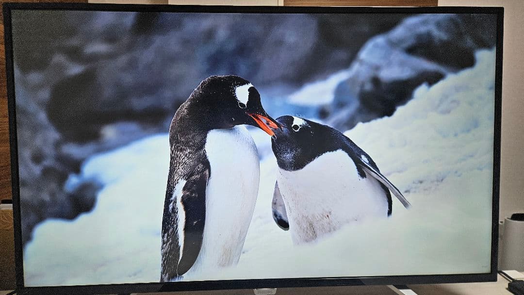 a*u様 【完動品】PHILIPS 43インチ 4Kモニター BDM4350UC