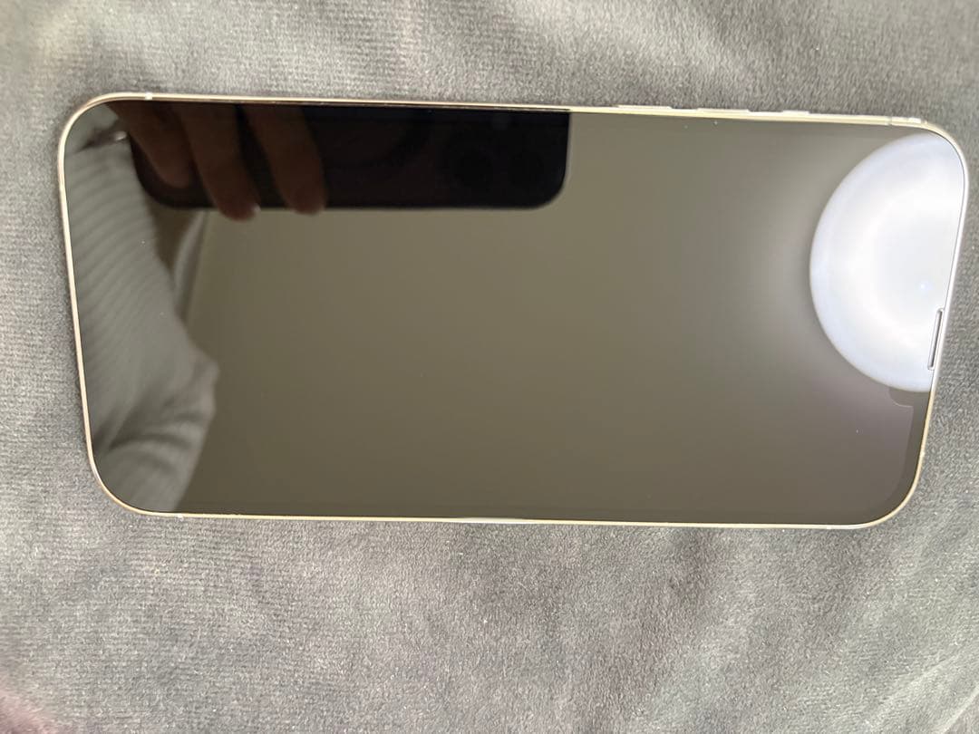 Apple iPhone 13 Pro Max 256GB デュアル　海外版