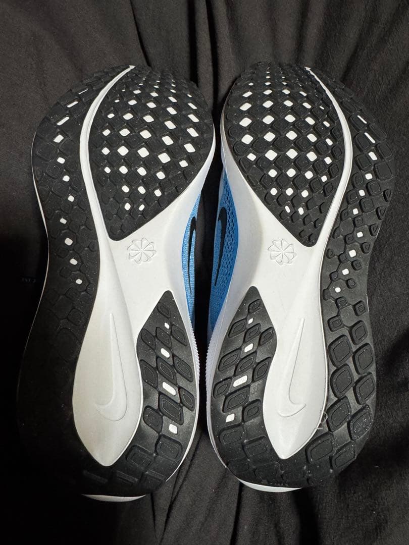 【ほぼ未使用美品】Nike シューズPEGASUS 41 27.0㎝