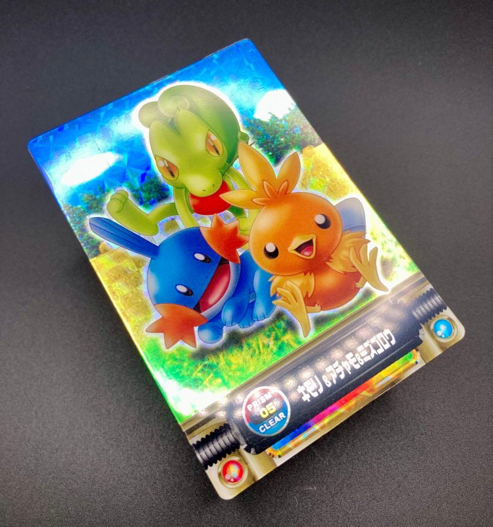 ポケモンずかんカード アドバンスジェネレーション キモリ&アチャモ&ミズゴロウ