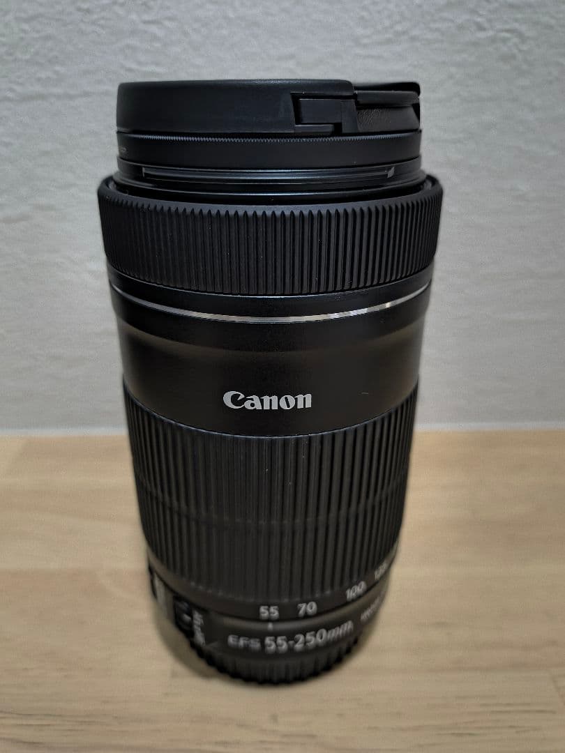 新品未使用 キャノン EF-S55-250mm F4-5.6 IS STM 望遠