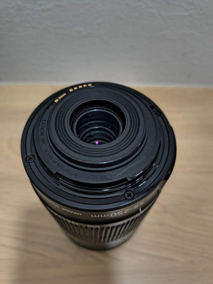 新品未使用 キャノン EF-S55-250mm F4-5.6 IS STM 望遠