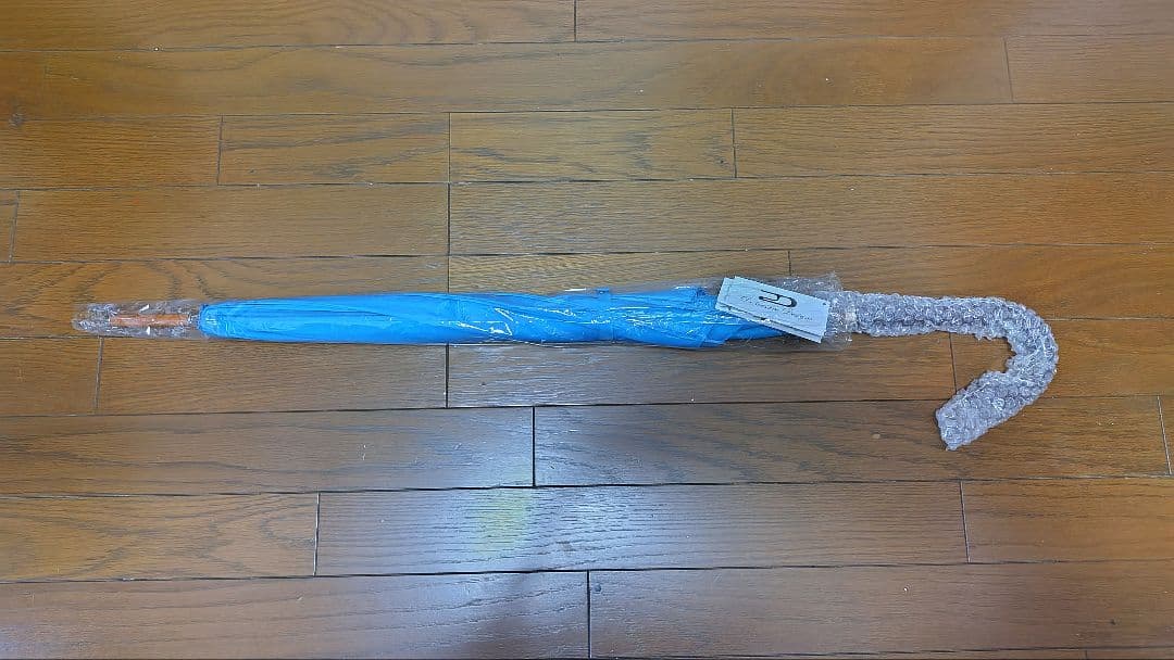 【新品】Di Cesare Designs ディチェザレ デザイン 傘 水色