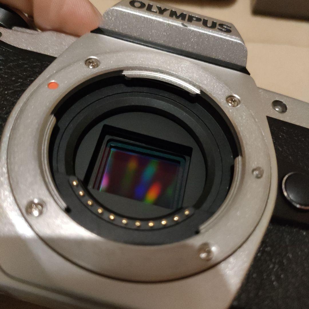 OLYMPUS OM-D E-M10Ⅱ mark2 markII ボディ付属品多