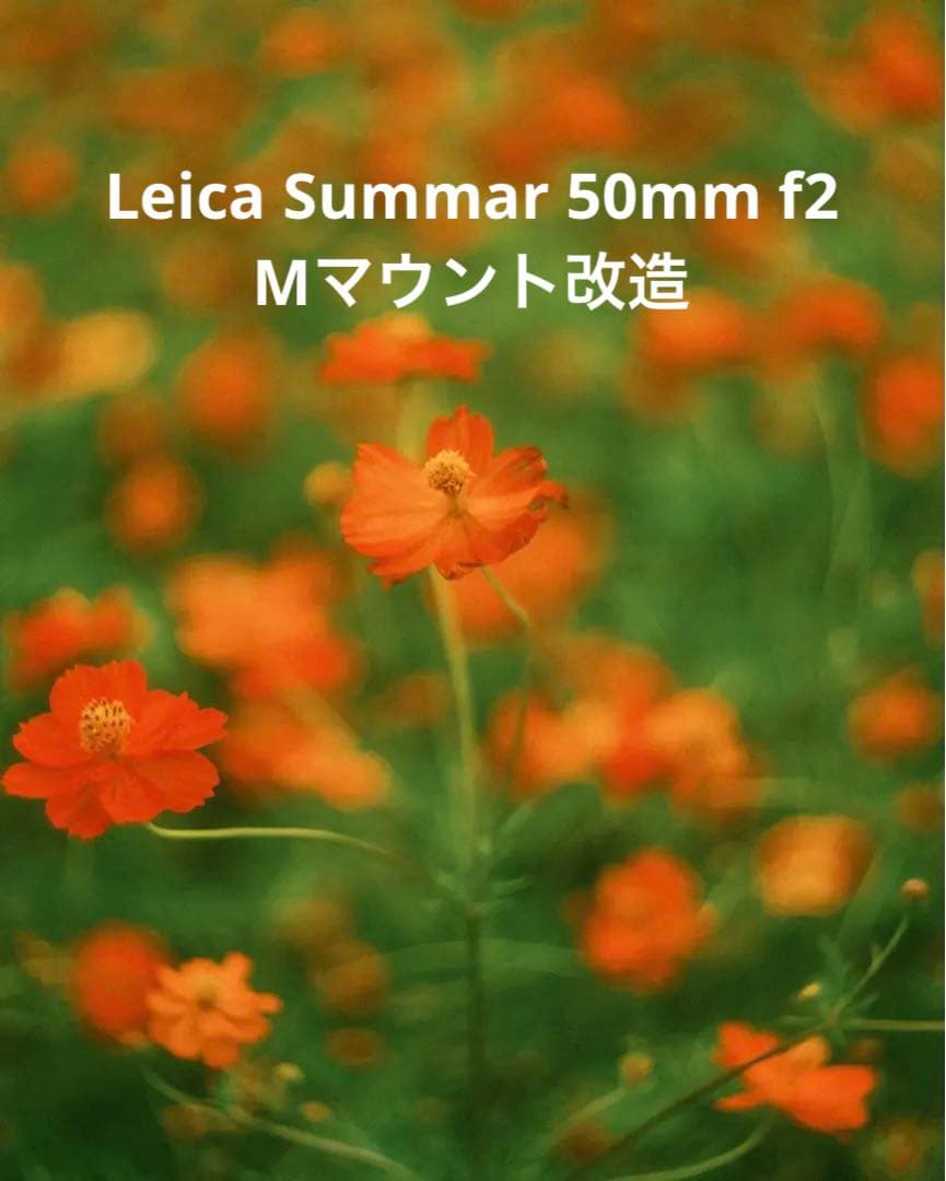 Ernst Leitz Wetar Summar 50mm f2 Mマウント改造