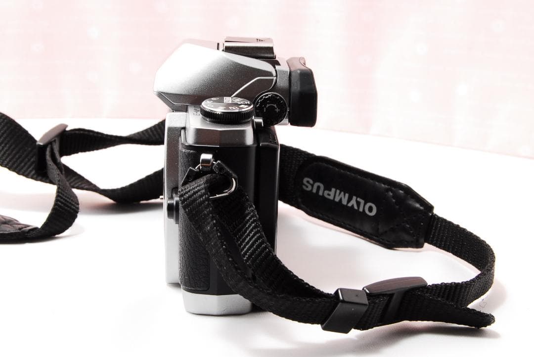 〓バッテリーパック3個〓オリンパス E-M10 ボディ ミラーレス一眼レフカメラ