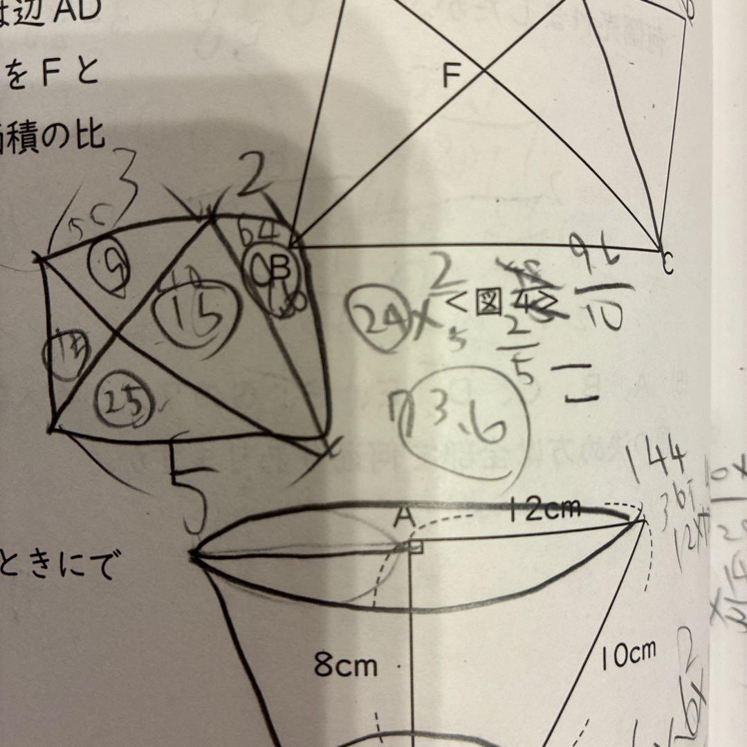 【®️eiko】能開センター　中学校受験　実力判定模試 小学6年