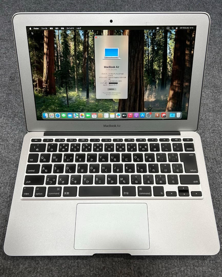 MacBook Air Early 2014 Corei5 4Gb 11インチ