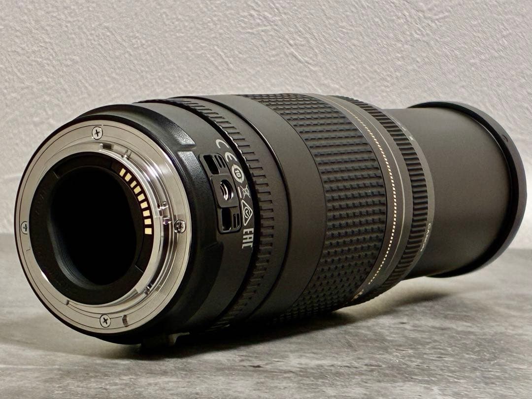 ⭐️美品⭐️Canon EFS 75-300 II & EF-EOS M アダプター