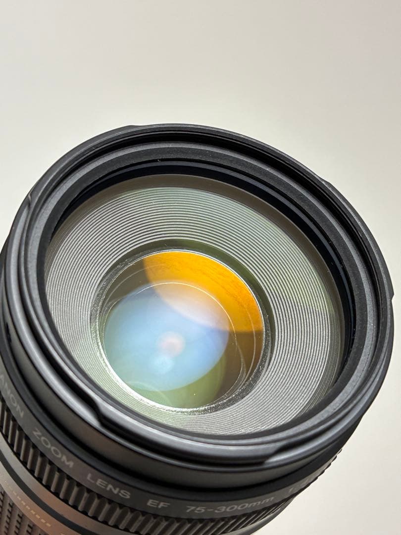 ⭐️美品⭐️Canon EFS 75-300 II & EF-EOS M アダプター