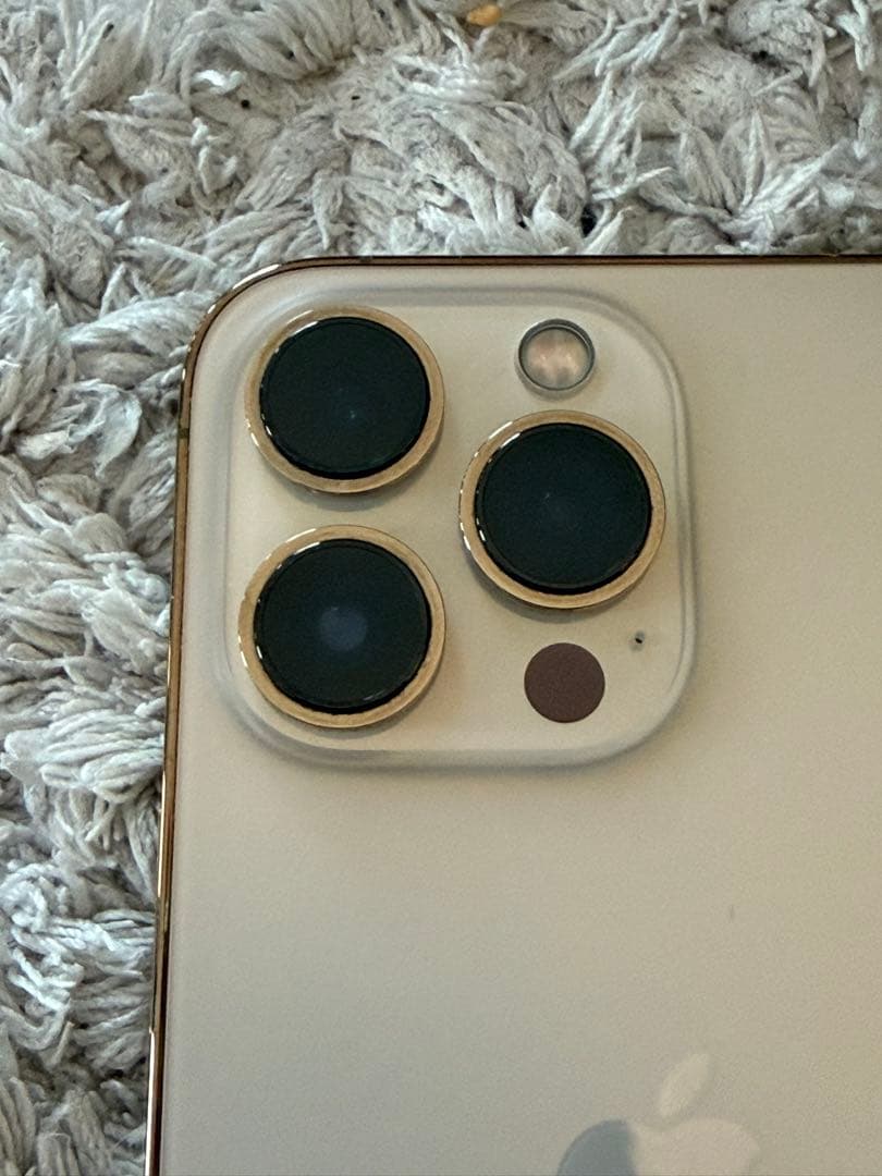 海外版シャッター音なし⭐️iPhone13pro 256GB