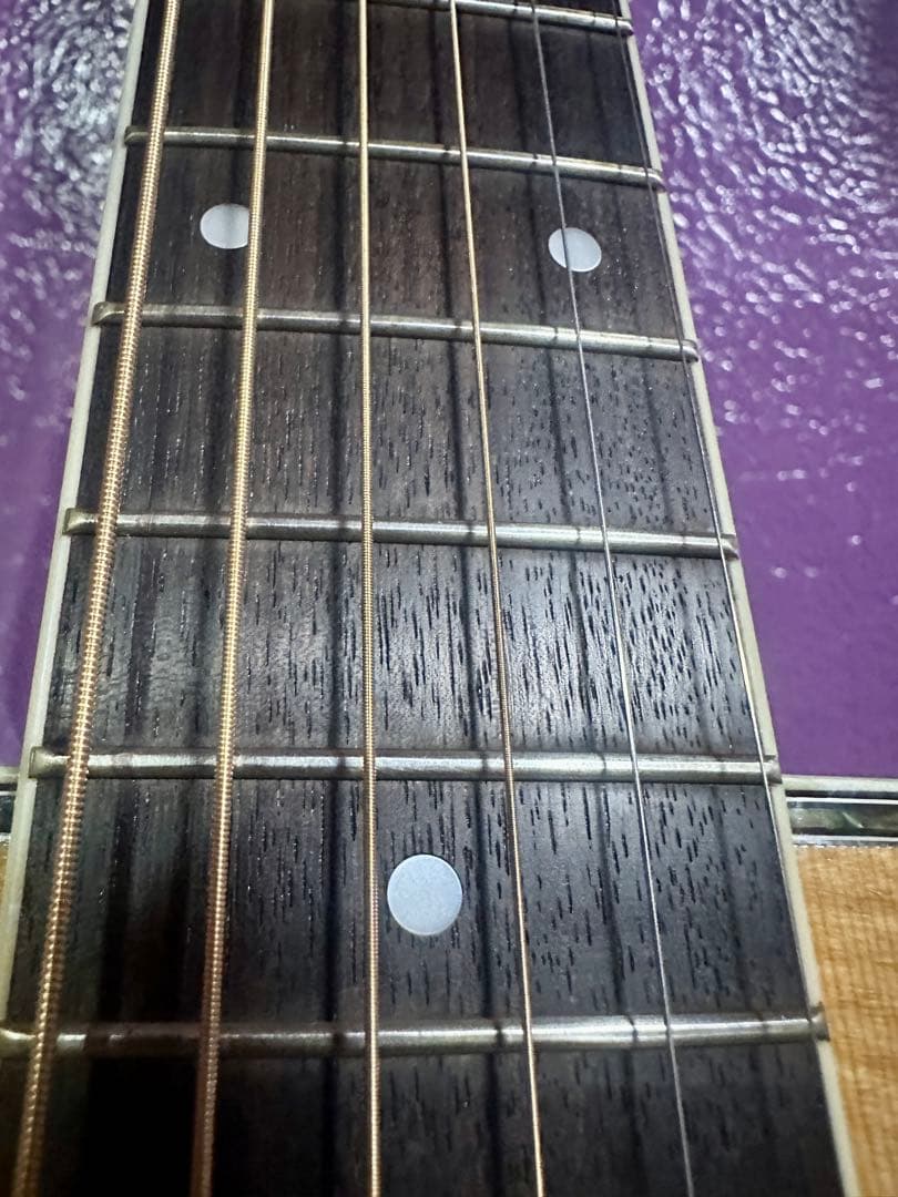 Morris アコースティックギター MD 520