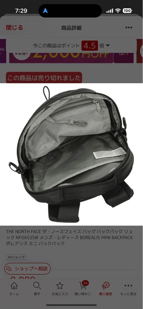 バックパックリュック　ノースフェイス