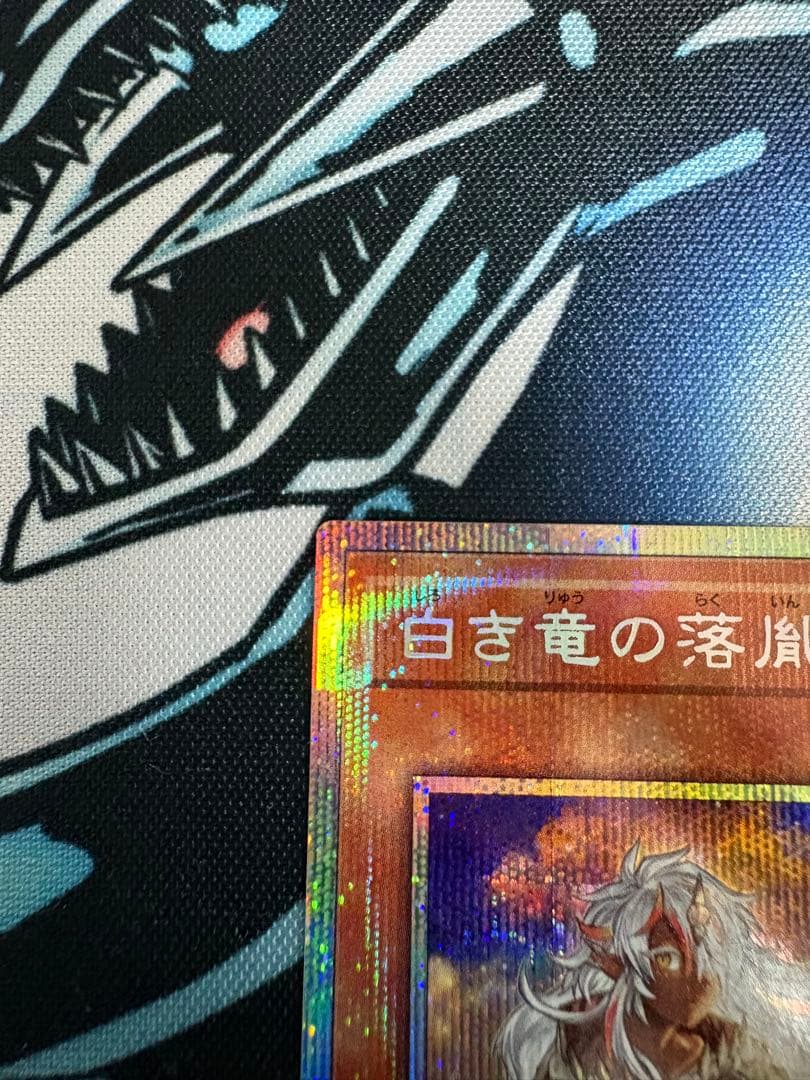 白き竜の落胤 プリシク