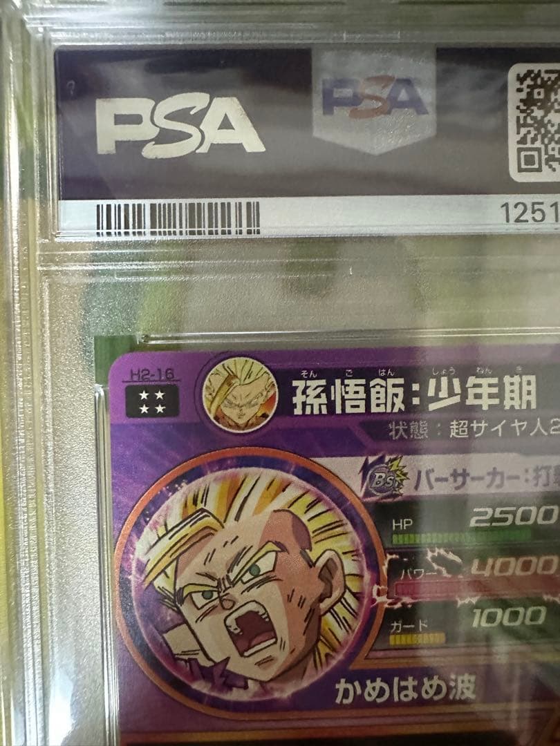 h2-16 孫悟飯：少年期　psa9