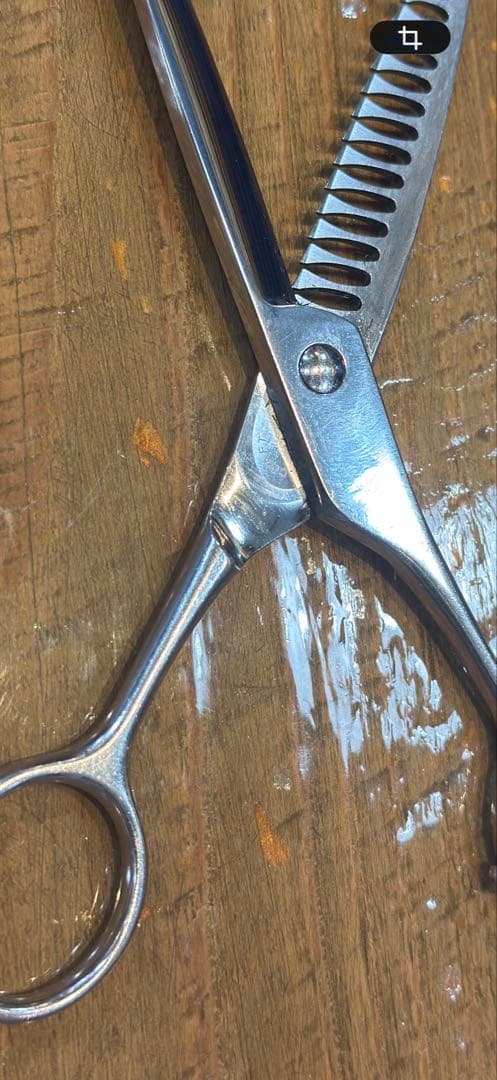 セニングシザー ステンレス製 標準サイズ