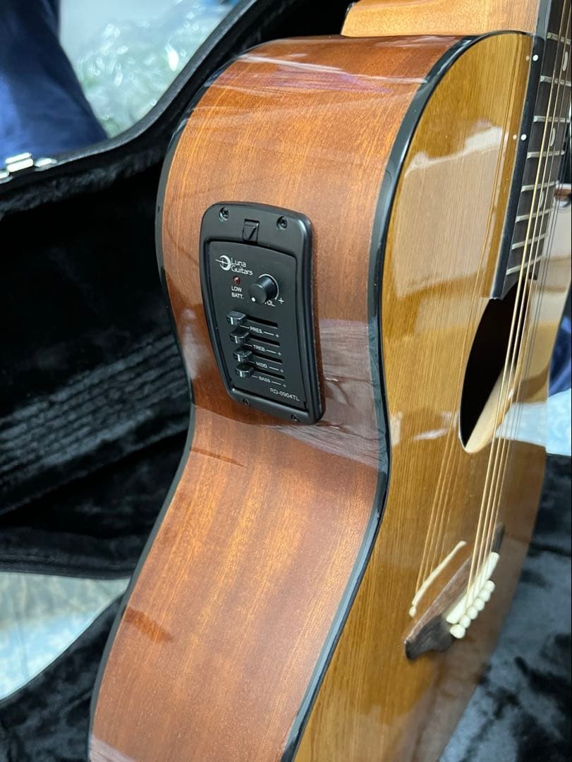 即発送 Luna guitar GYP E ASH DEANのハードケース付き