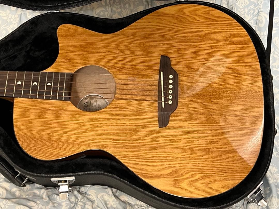 即発送 Luna guitar GYP E ASH DEANのハードケース付き