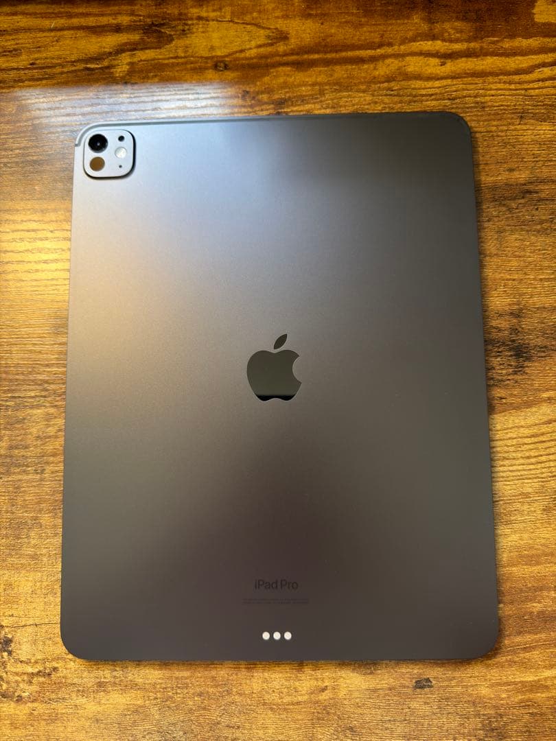 専用 M4 iPad Pro 13インチ 256GB