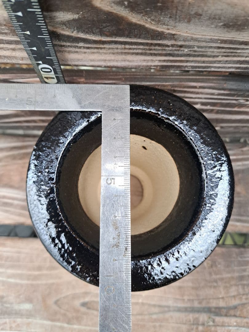 錦鉢　万年青　オモト　長生蘭　風蘭　古典植物　植木　観葉植物　インテリア　園芸