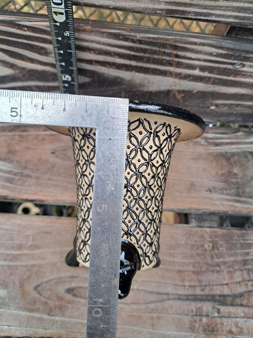 錦鉢　万年青　オモト　長生蘭　風蘭　古典植物　植木　観葉植物　インテリア　園芸