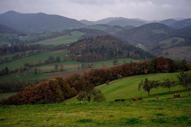 10　初期型　ジュピター 8 　2/50 L39　メタル製フード、フィルター付