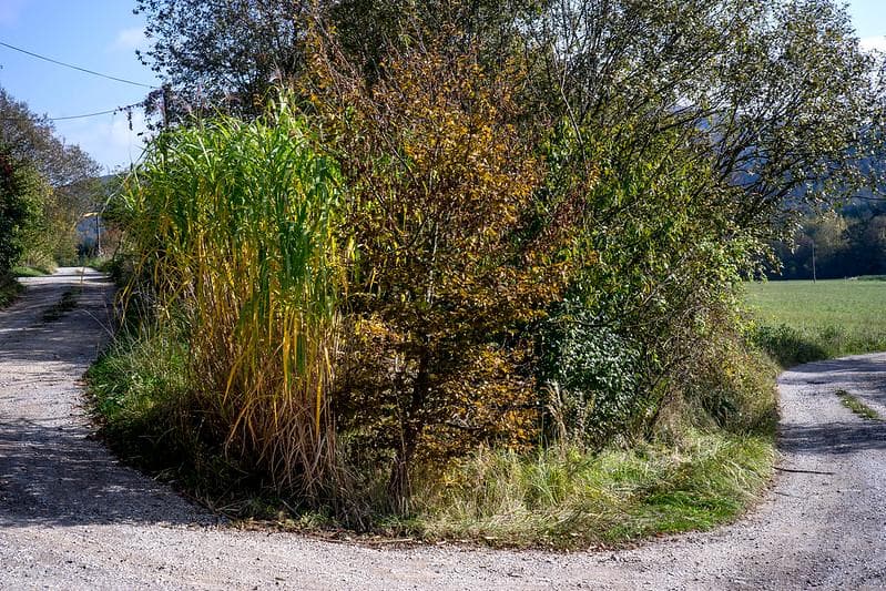 10　初期型　ジュピター 8 　2/50 L39　メタル製フード、フィルター付