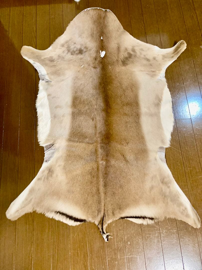 ラグ・カーペット si bubu