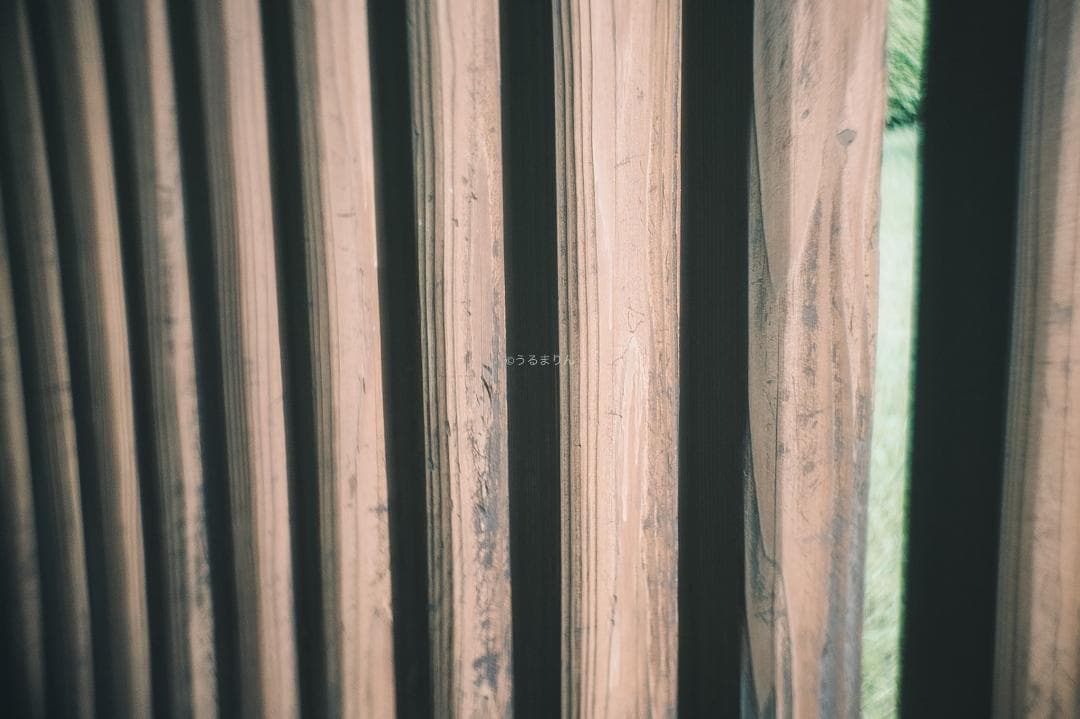 帝国の標準F1.9！Eマウント解禁！ZUNOW Cine 14mm F1.9