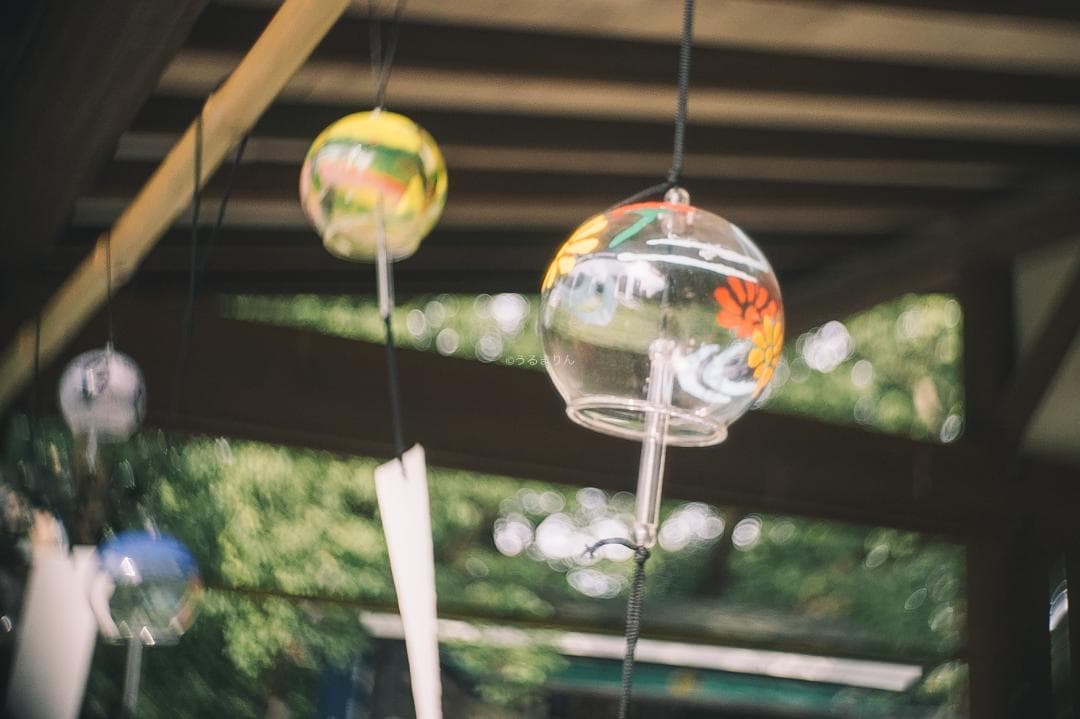 帝国の標準F1.9！Eマウント解禁！ZUNOW Cine 14mm F1.9