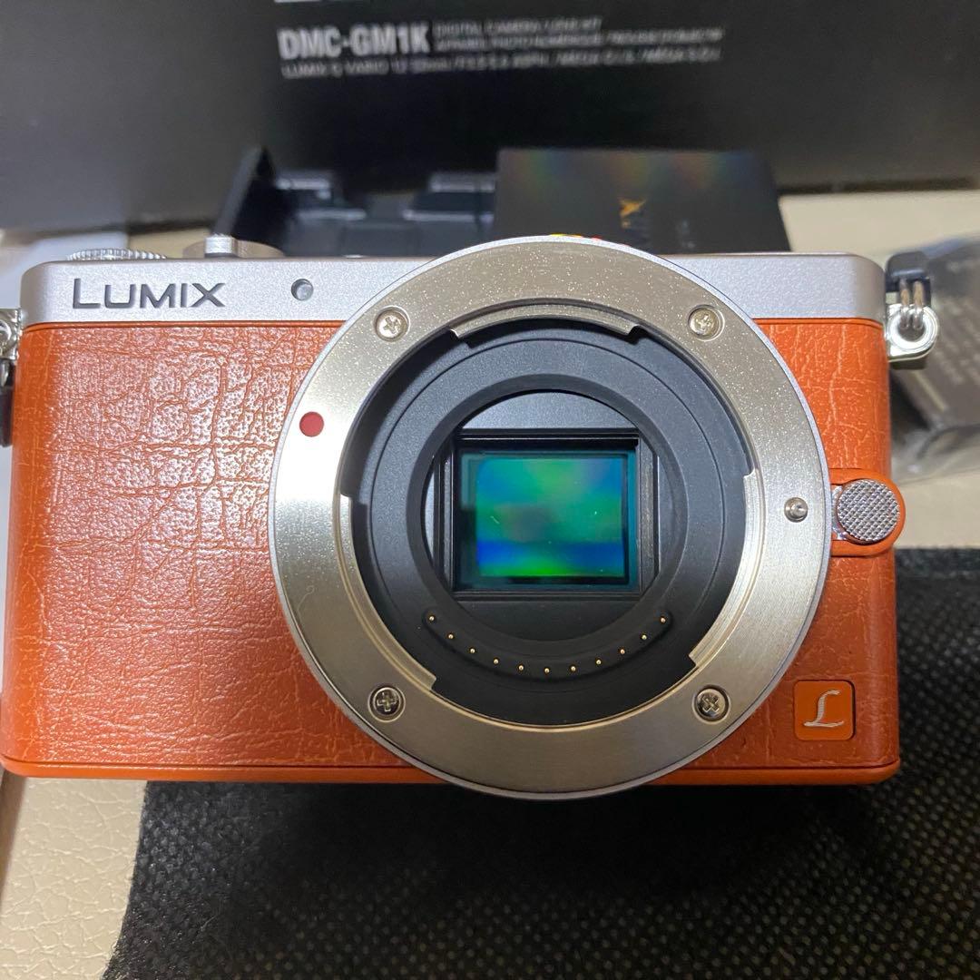 極美 LUMIX DMC-GM1K ボディ＋電動パンケーキレンズ、他アクセサリー