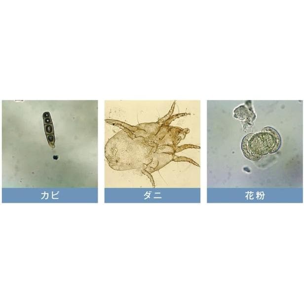 【美品】空気清浄機 イオニックブリーズGRANDE　花粉、ハウスダスト対策　33