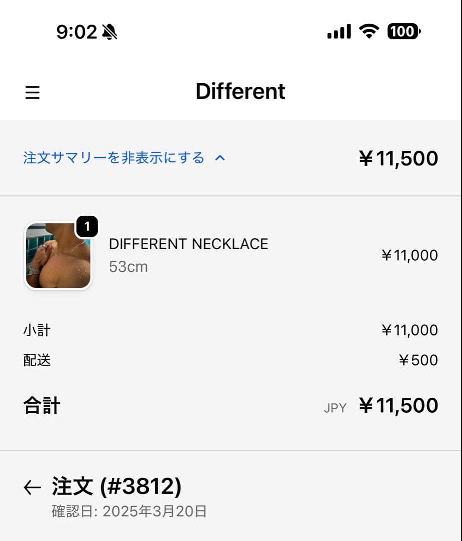 DIFFERENT ネックレス53cm