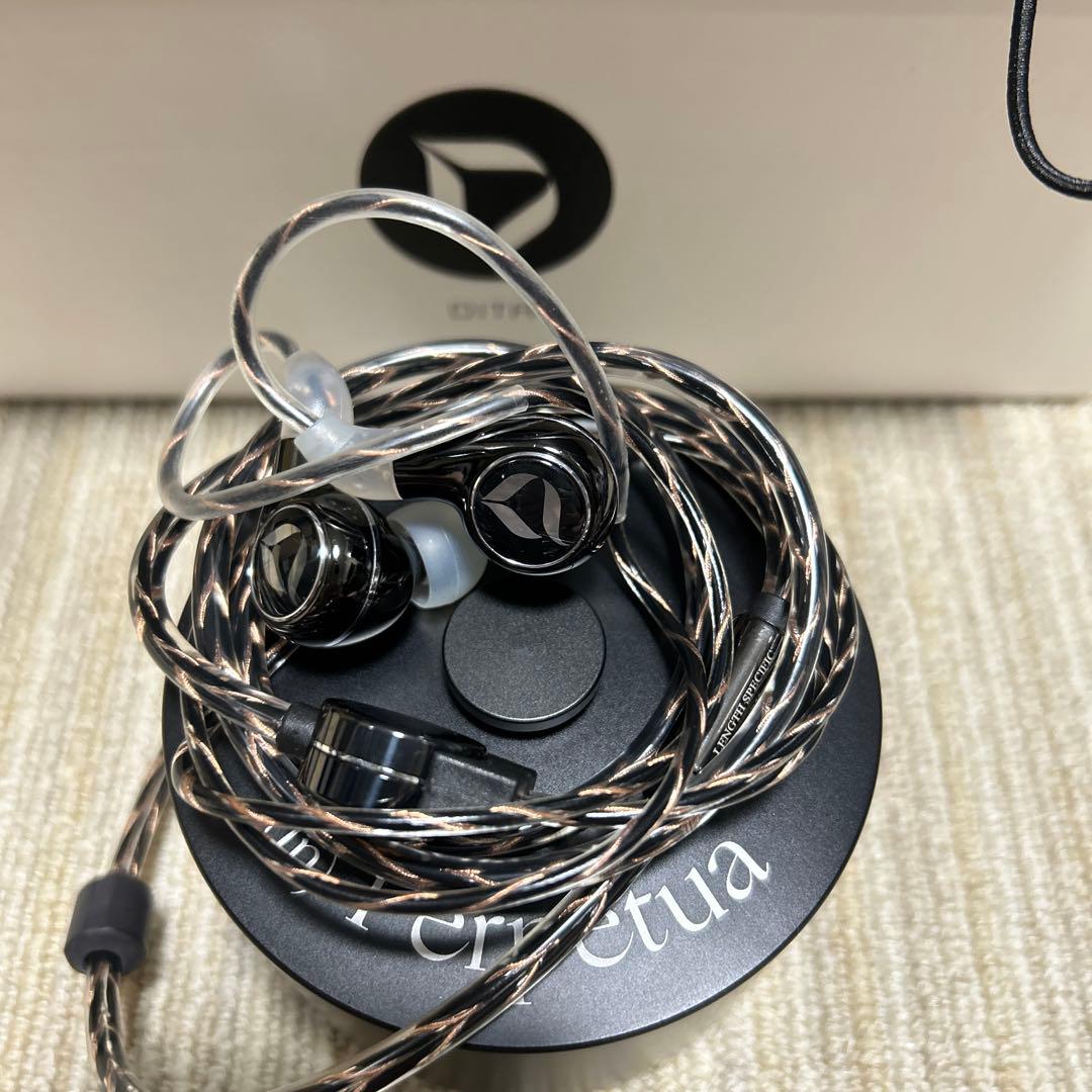 DITA Perpetua ガラスコーティング済