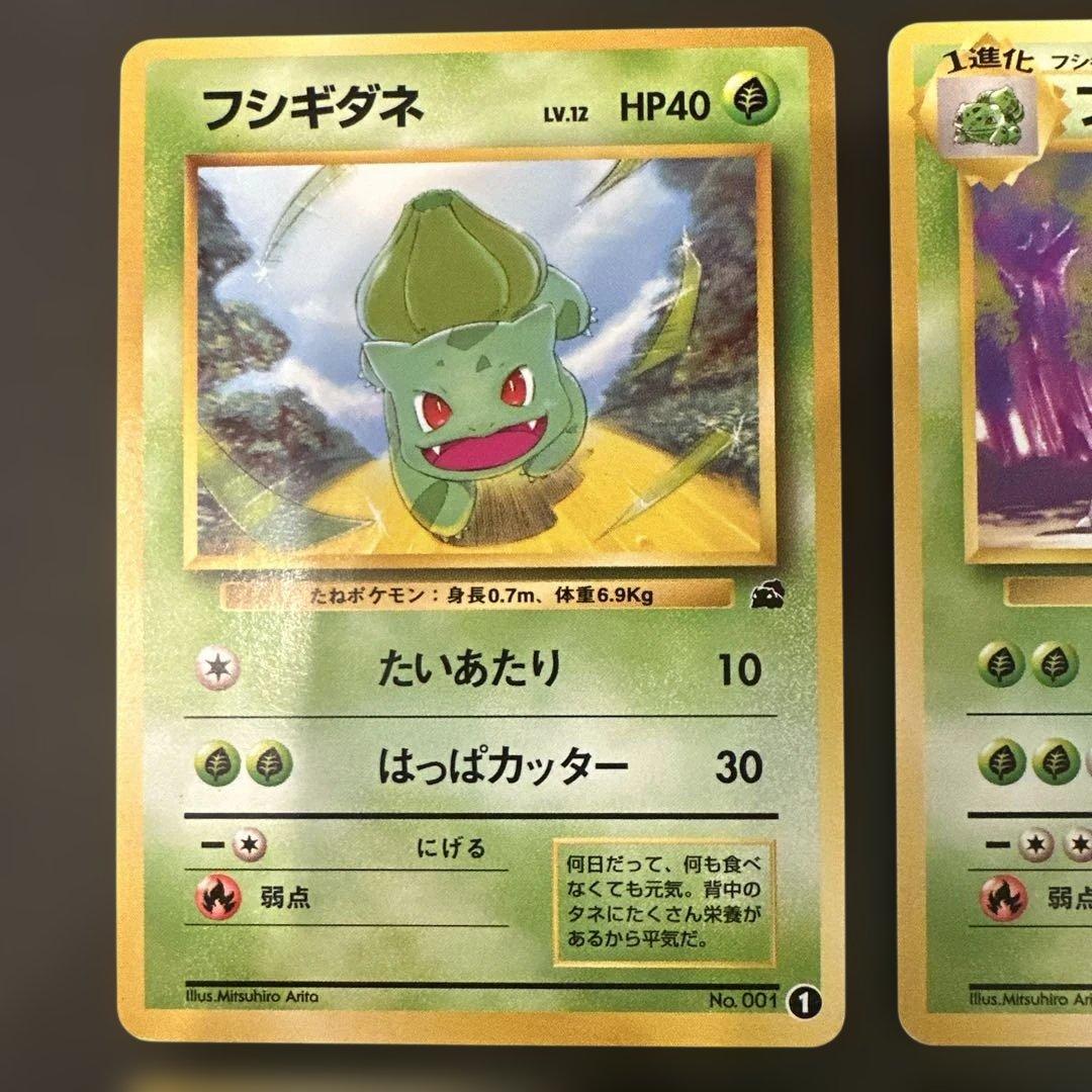 旧裏 フシギダネ