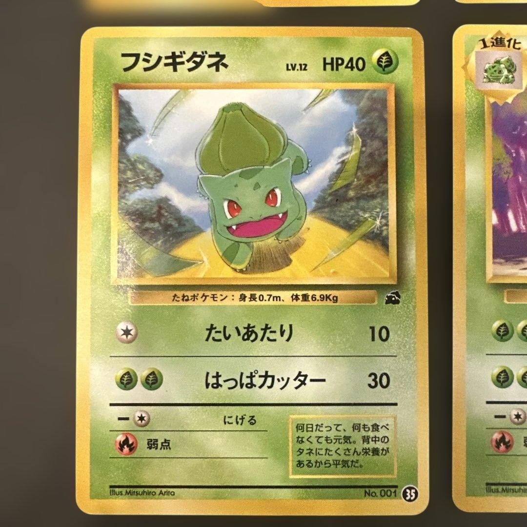 旧裏 フシギダネ