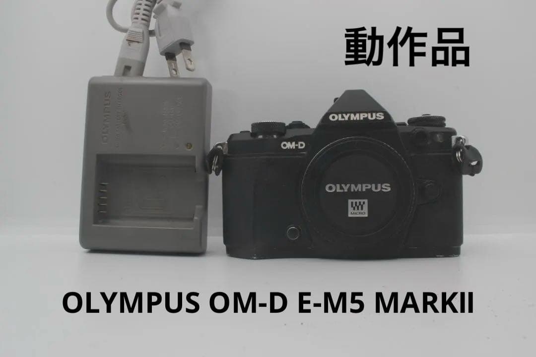 OLYMPUS OM-D E-M5 MARKⅡ