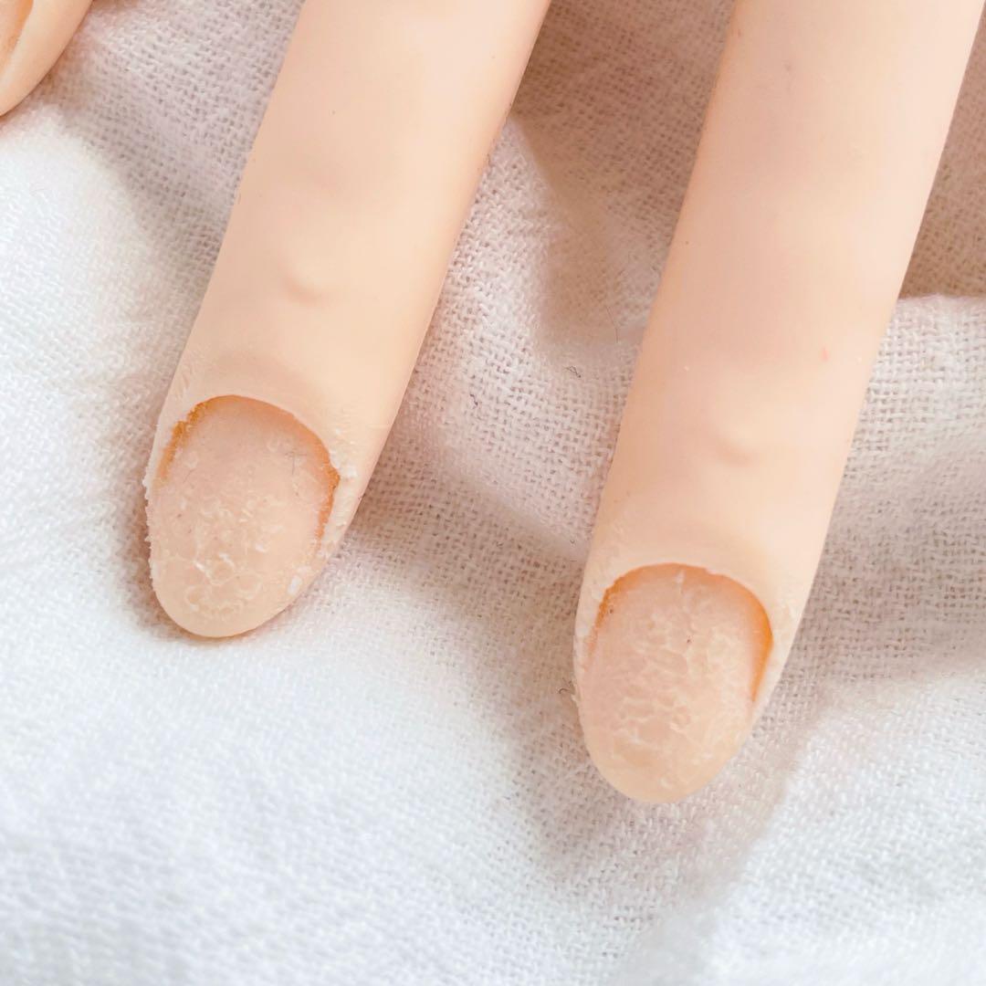 JNEC認定ハンドモデル