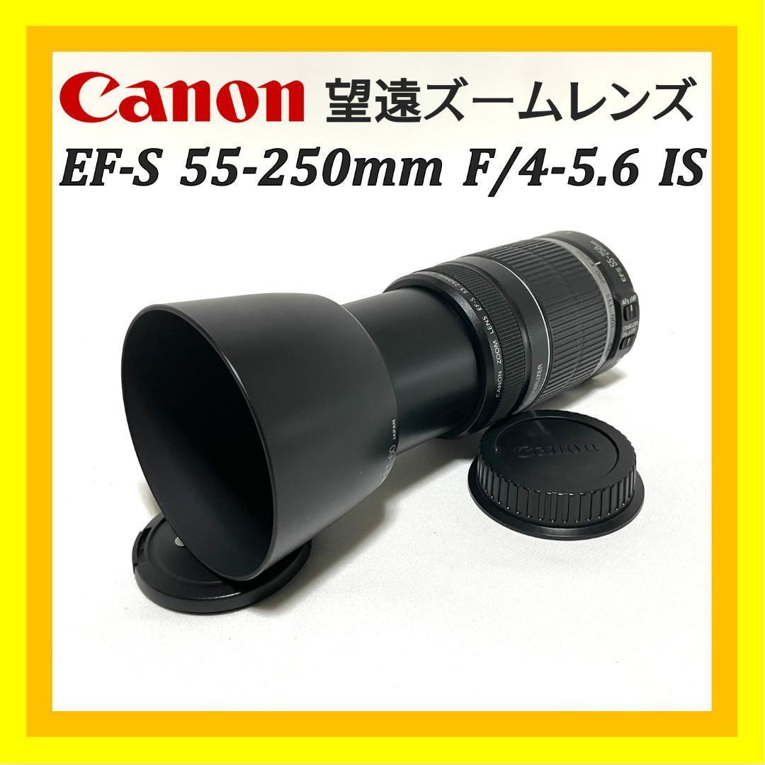 遠くをクッキリ撮れる❣️ EF-S 55-250mm 望遠ズームレンズ 軽量✨