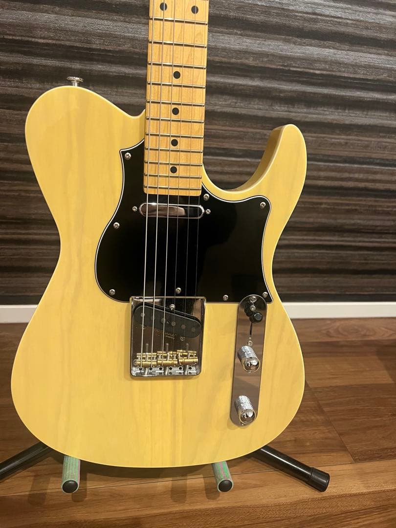 フジゲン　FGN テレキャスター　JIL2-ASH