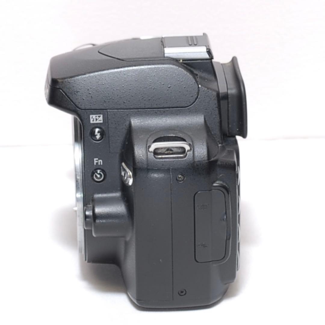 一眼レフデビュー ✨Nikon D60✨ シングルレンズ✨ 簡単操作✨おまけ多数