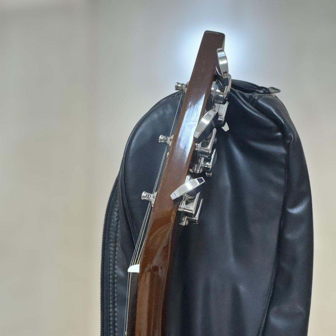 Yamaha アコースティックギター ギターケース付き　F-310P