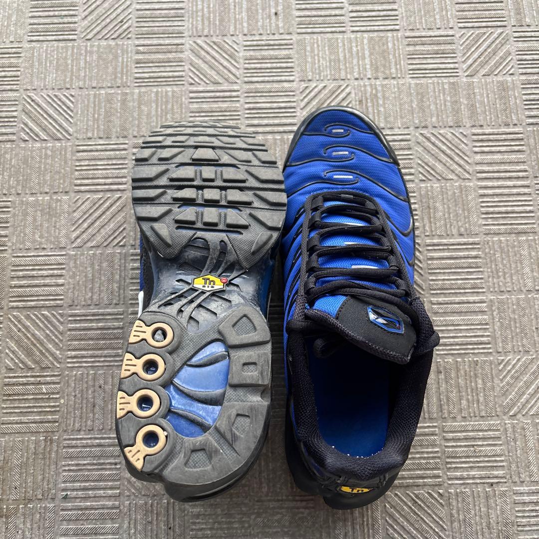 靴 Nike Air Max Plus PRM \"Racer Blue\"