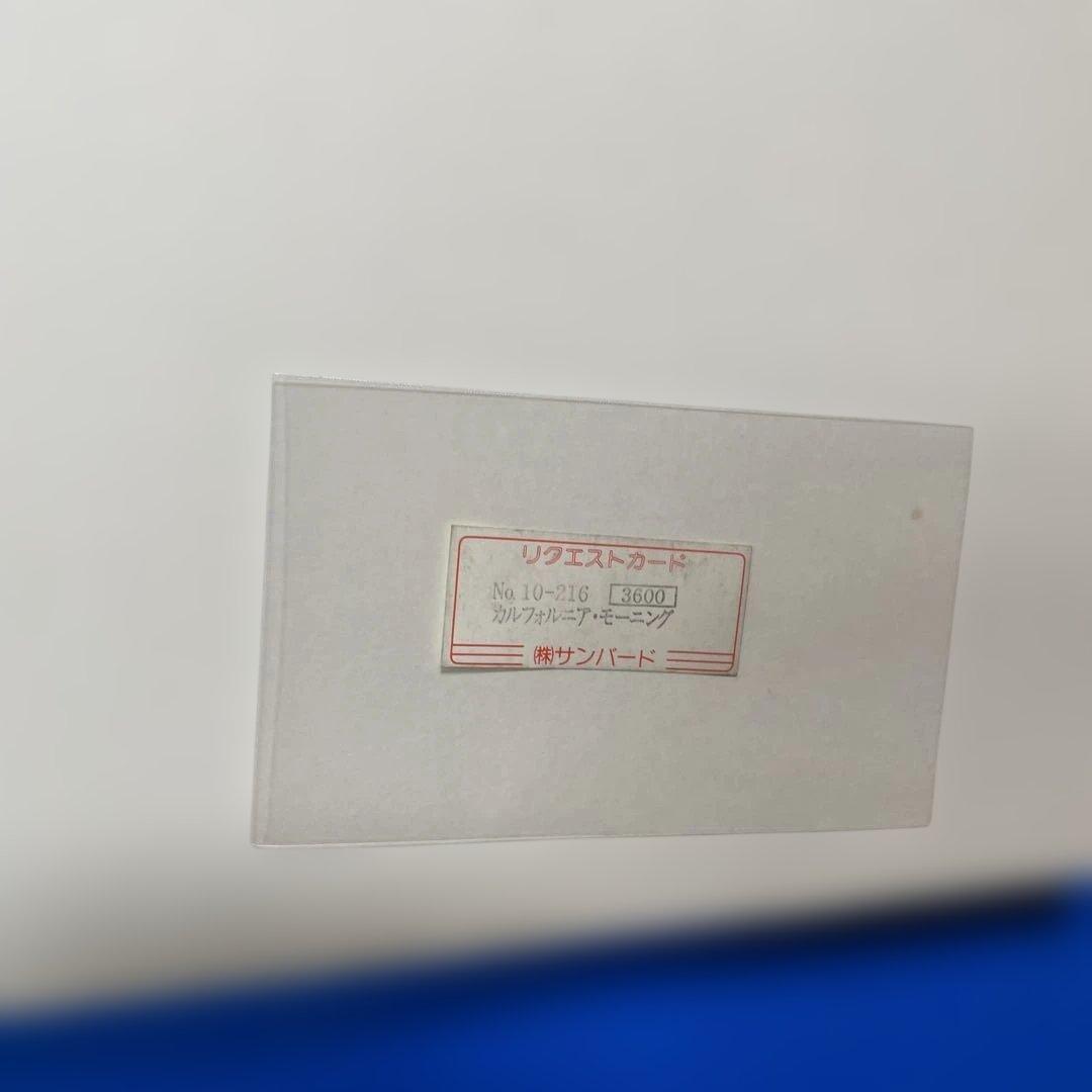 ジグソーパズル　ルース・メイヤー　カリフォルニア・モーニング　1000P