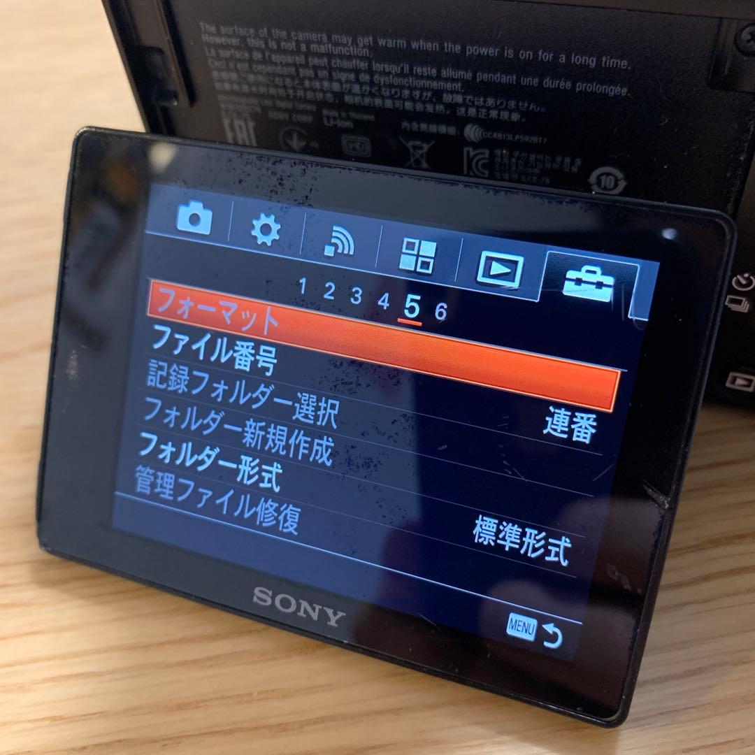 【即日発送】SONY α7S ミラーレス一眼カメラ 本体【動作快調】【初代】