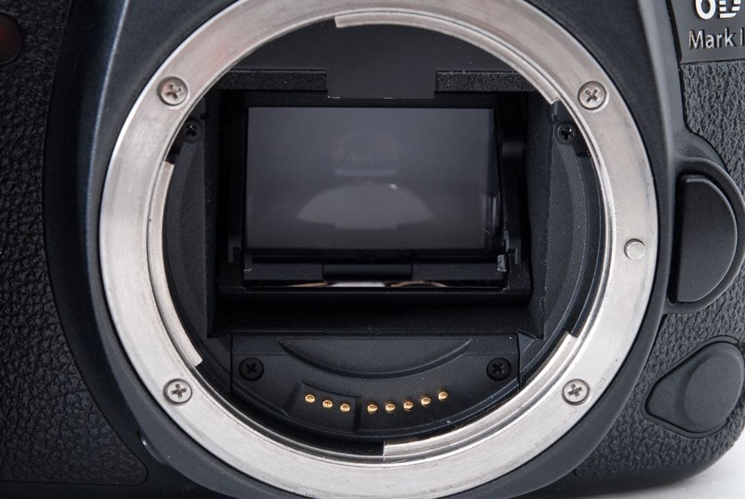 保証付き キャノン Canon EOS 6D Mark II デジタル一眼レフ