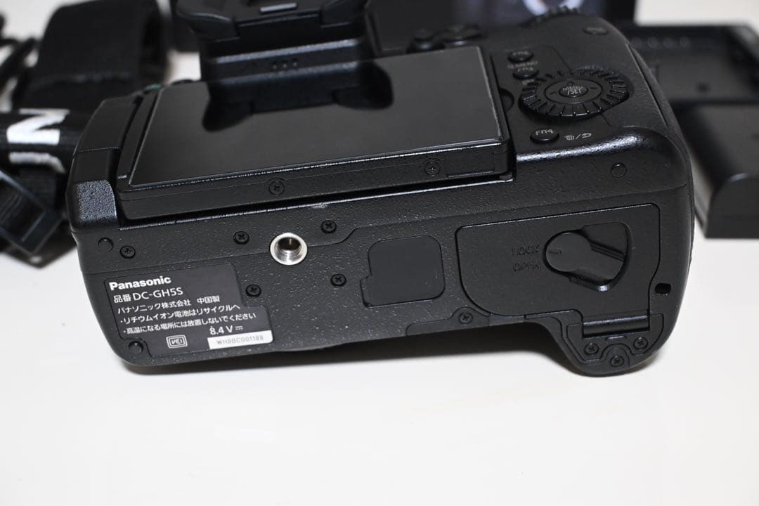 Panasonic パナソニック GH5S DC-GH5S 付属品・箱付き