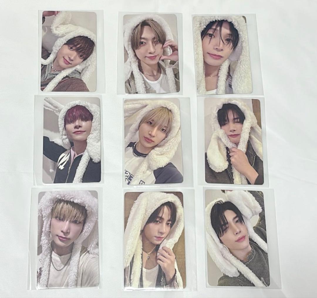 【おまけ付き】&TEAM ふわふわアニマル トレカ 9枚 コンプリートセット