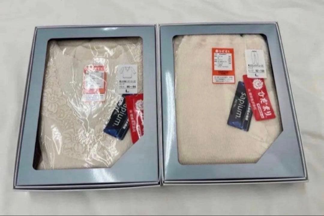 婦人L☆送料無料☆ひだまり肌着上下セット【ラビセーヌ】婦人　Lサイズ