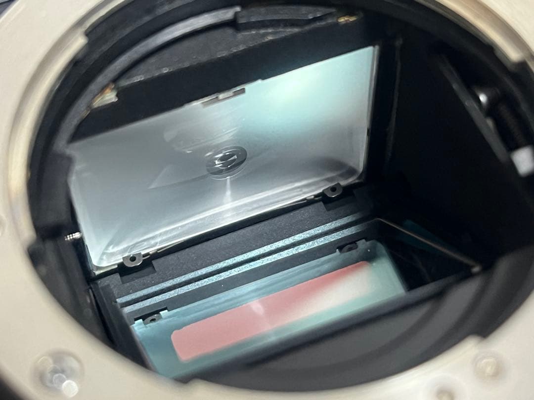 Olympus OM-40 Program DX カメラフィルム